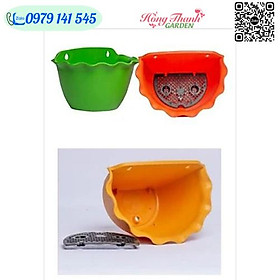 Hình ảnh 10 chậu nhựa ốp tường loại dày xịn trồng hoa cây cảnh siêu xinh (chọn màu)