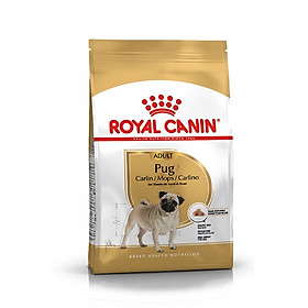  Hạt Royal Canin Pug Adult Cho Chó Pug Trưởng Thành