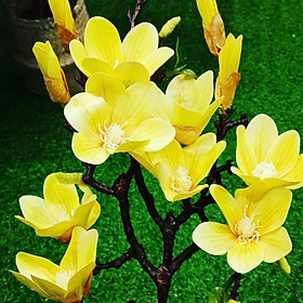 Cành hoa mộc lan cao 60cm - cành hoa giả trang trí nhà cửa- Hoa lụa Minh Hoà