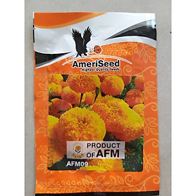 Vạn thọ thái cao lỡ AmeriSeed 09 Cam