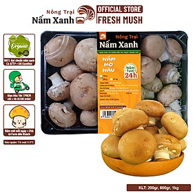 HCM Nấm Mỡ Nâu Tươi 200gr Ngon Sạch - Nông Trại Nấm Xanh