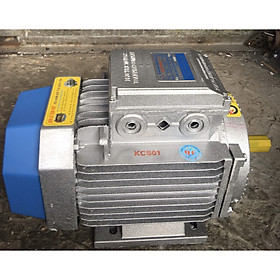 Động cơ điện Motor 2 HP - 1.5 KW - 2900 vòng