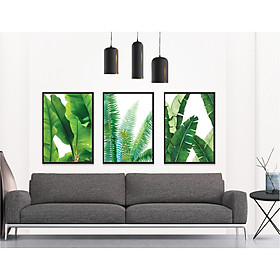 Mua Tranh Canvas Bộ 3 Bức Lá Cây Nhiệt Đới AS00004
