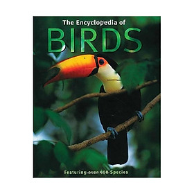 Nơi bán The Encyclopedia Of Birds S08971 - Giá Từ -1đ