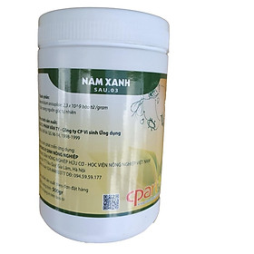 Mua Chế phẩm sinh học NẤM XANH Metarhizium phòng trừ sâu bệnh SAU.03 (Hộp 500g)