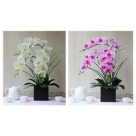 Mua Hoa giả  bình hoa lan hồ điệp cao su loại 1 đẹp giống thật cao 55cm để bàn trang trí phòng khách sang trọng BL-03