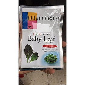 Hạt giống cải MÙ TẠT ĐỎ BABY LEAF - Nhật Bản