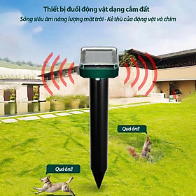 Mua Thiết Bị Đuổi Chuột   Rắn  Chim Sóng Siêu Âm Ngoài Trời – Sạc Năng Lượng Mặt Trời  Chống Nước