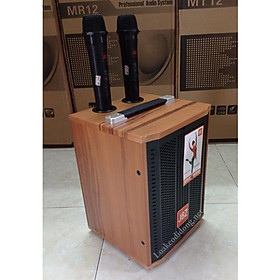Mua Loa kéo JBZ J6  loa hát karaoke có tay kéo  bass 1.5 tấc