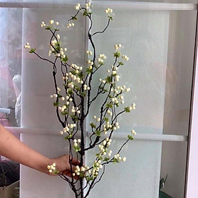 Mua Cành tuyết ri cổ   đào đông cổ màu trắng đỏ vàng   chùm quả trắng nhỏ hoa giả