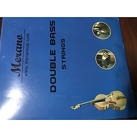 Mua Dây Đàn Double Bass cao cấp của Mỹ tại tphcm