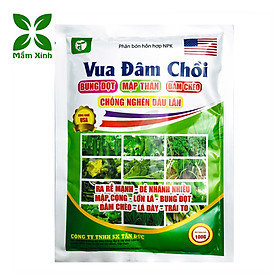 Mua Phân bón Vua Đâm Chồi  giúp cây bật chồi mạnh  nảy chồi ra lá mạnh mẽ  chống nghẽn đầu lân  phân bón Vua Bật Chồi gói 100gr