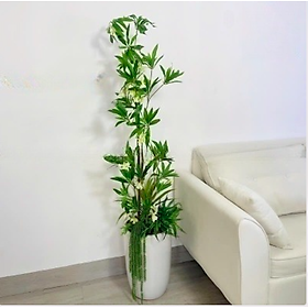 Mua Cây Hoa Thủy Trúc Giả - Cây Thủy Sinh cao 150cm decor phòng khách  phòng bếp  phòng ngủ