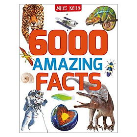B384 6000 AMAZING FACTS - Miles Kelly Publishing