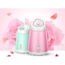 Máy xông hơi mặt hoa quả tiện lợi ( TẶNG MÓC KHÓA GỖ)