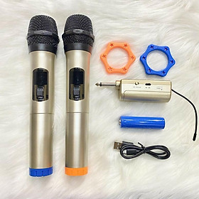 Mua Micro không dây Temeisheng 901B ( 2 micro UHF ) cao cấp chuyên dùng cho loa kéo  amply  mic hút ít hú hát cực nhẹ