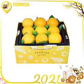 Hộp quà Tết TERRISA Signature Đoàn Viên 3 (Hộp 2.5 Kg - Cam Mỹ)