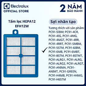 Tấm lọc Electrolux HEPA12 EFH12W, hiệu quả lọc bụi [Hàng chính hãng]
