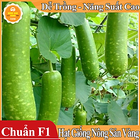 Mua Hạt giống Bầu Dài   Bầu Sao Lai ( Gói 10 Hạt ) - Nông Sản Vàng