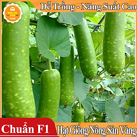 Hạt giống Bầu Dài , Bầu Sao Lai ( Gói 10 Hạt ) - Nông Sản Vàng