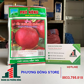 Combo 5-10 gói hạt giống Củ dền chịu nhiệt , trồng quanh năm - gói 5g