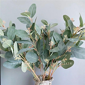 Mua Lá Bạch Đàn Điểm Hạt LG26 - Lá Bạch Đàn Giả