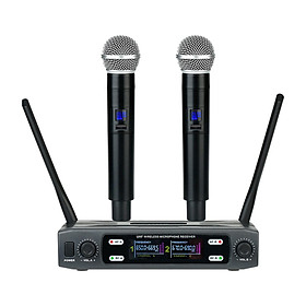 Hình ảnh Dual Microphone System Handheld Microphone for Band  Wedding
