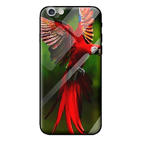 Ốp lưng kính cường lực cho iPhone 6s CHIM 4 - Hàng chính hãng