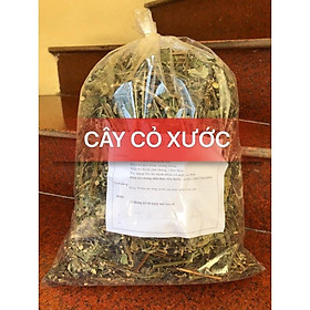 Mua cây cỏ xước khô 1kg
