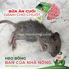 (10 HỘP 100g) Thuốc diệt chuột Killrat 0.005% - BỮA ĂN CUỐI dành cho chuột