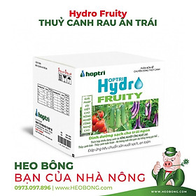 Dinh dưỡng thuỷ canh RAU ĂN TRÁI - HỢP TRÍ HYDRO FRUITY (Part A + Part B) - 10kg