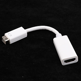 6 Inches  DVI Male to HDMI Female Video Adapter Cable for Mac Book