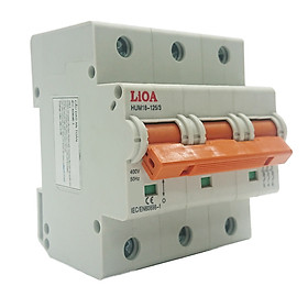 	 APTOMAT LiOA 3 Cực 100A Dòng Cắt