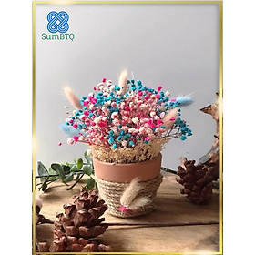 Mua Hoa để bàn | Hoa khô ướp mix thỏ 012