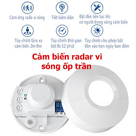 Mua Công Tắc Cảm Ứng Chuyển Động Vi Sóng Lắp Trần (ỐP TRẦN)
