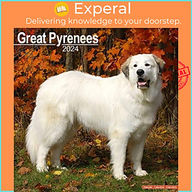 Sách - Great Pyrenees Calendar 2024  Square Dog Breed Wall Calendar - 16 Month by  (UK edition, paperback)