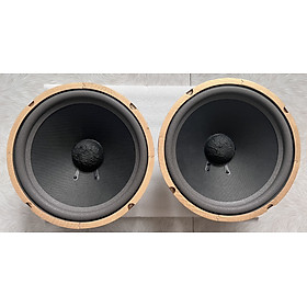 Mua Bass loa 25 viền vàng từ đôi từ kép cao cấp Hải Triều (hàng chính hãng)