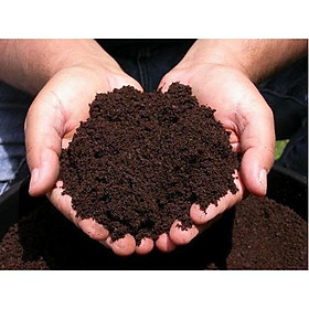 Mua 1 kg phân trùn quế trồng cây ( dùng để trộn vưới đất trồng cây và hoa)