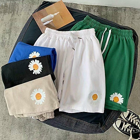 Quần thun nam nỉ in hình bông cúc siêu dễ thương chất cotton 4 chiều co giãn