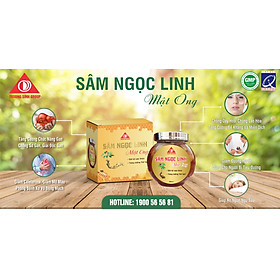 SÂM NGỌC LINH MẬT ONG