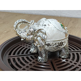 Mua Gạt tàn con voi