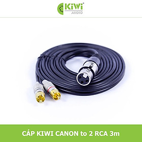 Mua CÁP KIWI cho máy ảnh CANON TO 2 RCA - 3M - HÀNG CHÍNH HÃNG