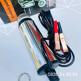Mua Máy bơm chìm hút dầu mini 12V  24V máy bơm hút dầu  hút nước mini 12V  24V