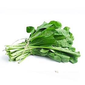 CẢI NGỌT