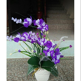 Mua Hoa đá pha lê để bàn