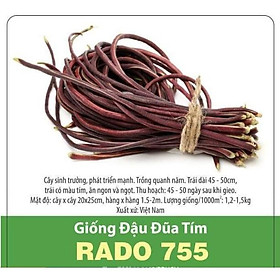 Mua Hạt Giống Đậu Đũa Tím Chịu Nhiệt 10gram