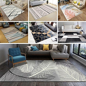 Mua Thảm Nnhung Nỉ Trang Trí Trải Sàn Phòng Khách Sang Trọng PA9319