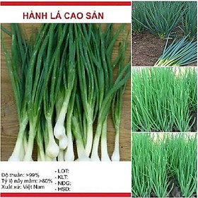 Mua Hạt giống Hành lá gốc trắng-gói 2gram/tặng kèm gói phân bón lót