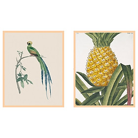 IKEA FAGERÖN Khung với poster nhiệt đới 40x50 cm Frame with poster Tropical 40x50 cm