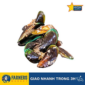 Vẹm Xanh Tươi Sống (Size 15-25 con/kg)